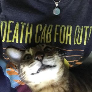 Meet your Posher, Shannon